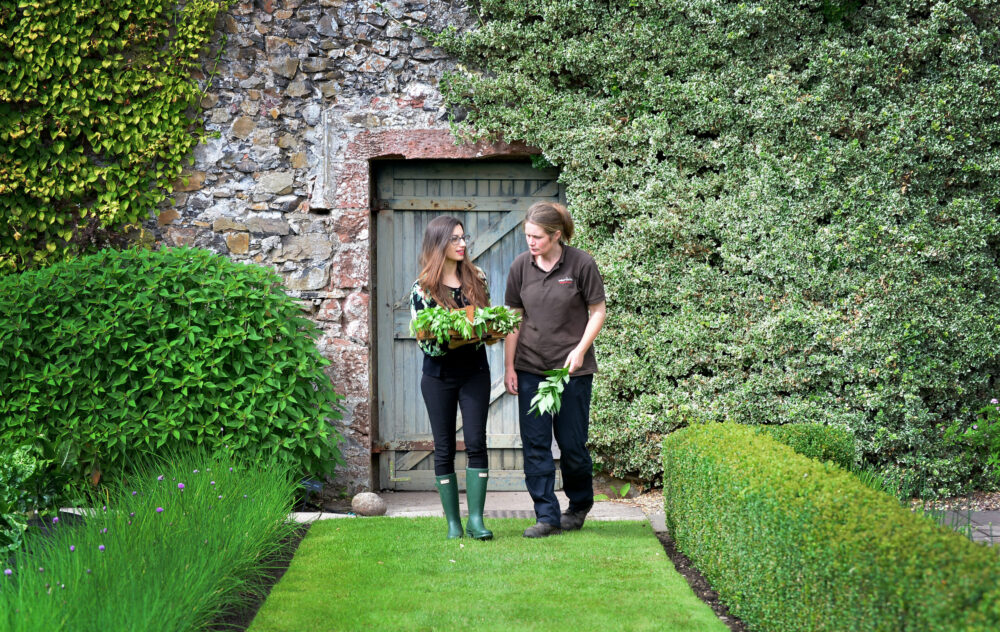 Inside the Andrew Fairlie herb garden, Gleneagles.