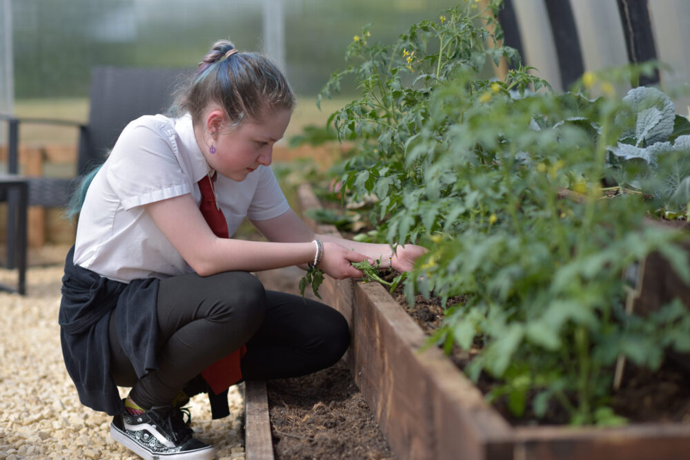 The project included funding for a poly tunnel which has enabled kids to grow a substantial amount of fresh produce.